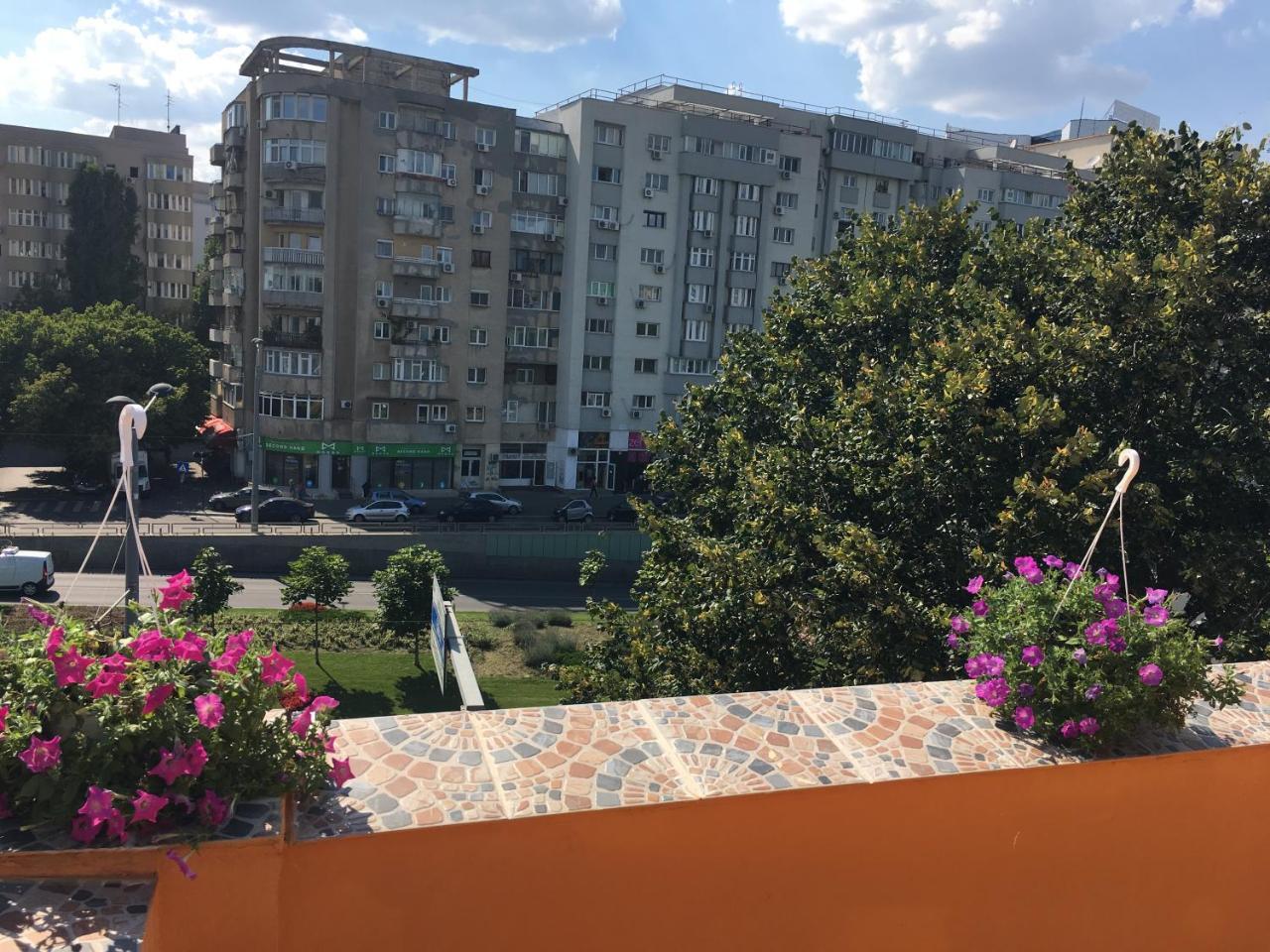 בוקרשט Dream Accommodation מראה חיצוני תמונה